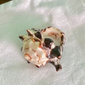 Real Seashell Ring